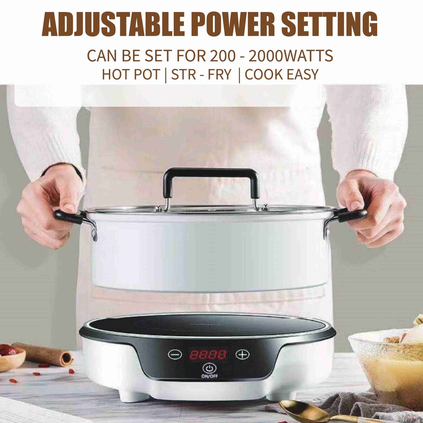 Portable Electric Induction Cooker