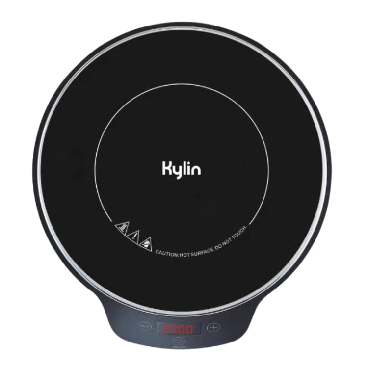 Portable Electric Induction Cooker