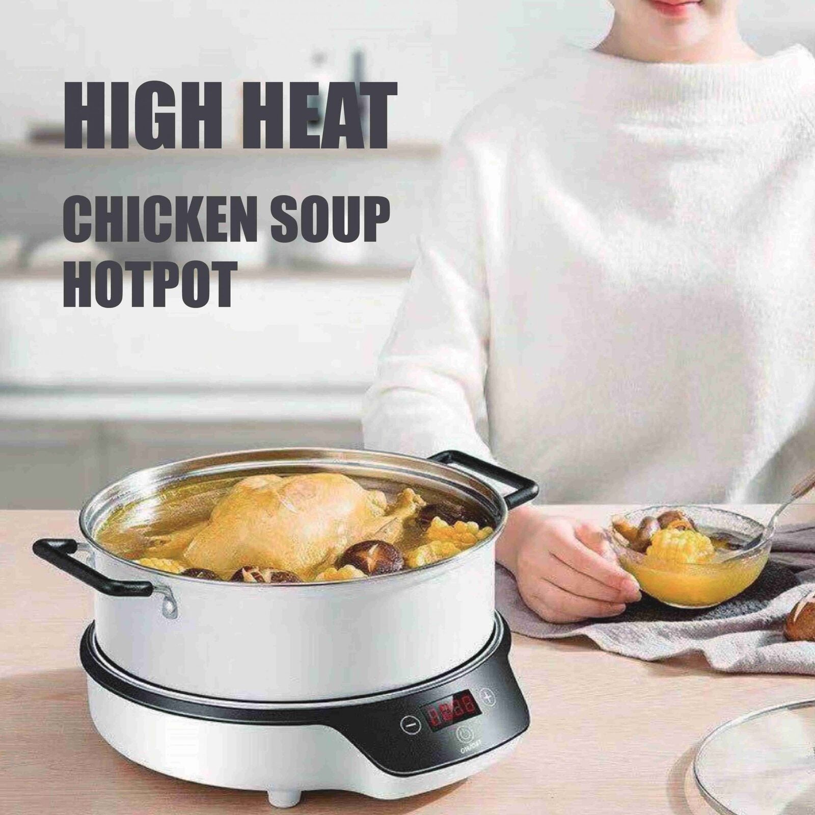 Portable Electric Induction Cooker