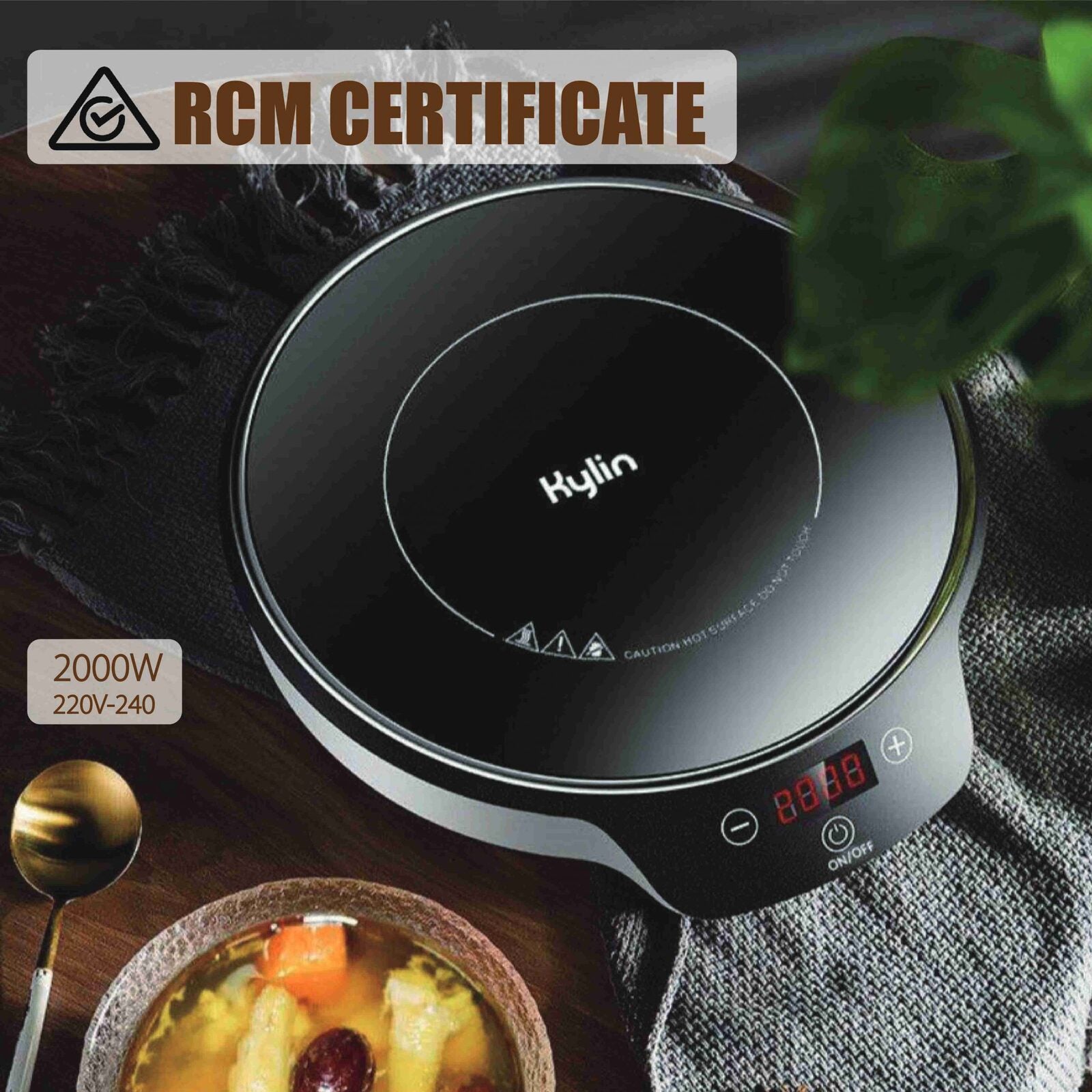 Portable Electric Induction Cooker