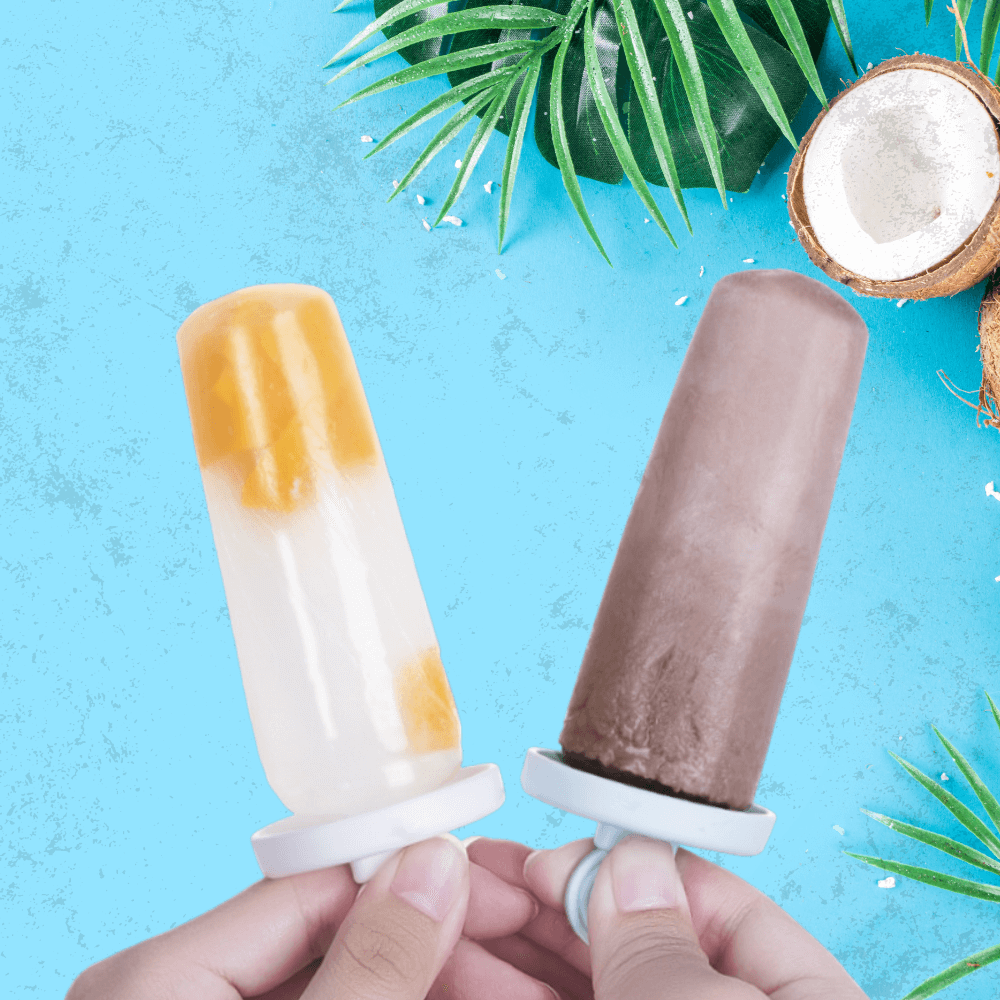 Robo Lollipop Ice Cream Icy Pole Case Mould Set