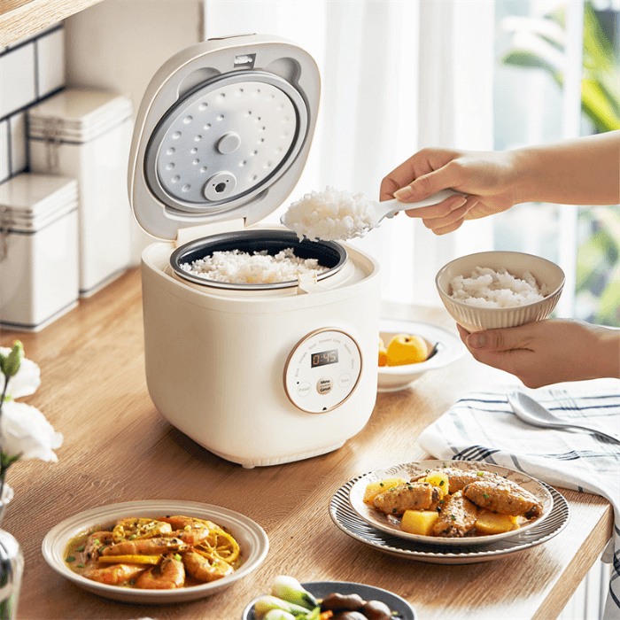 Our Picks: 4 Best Mini Rice Cookers for Small Kitchens in Australia