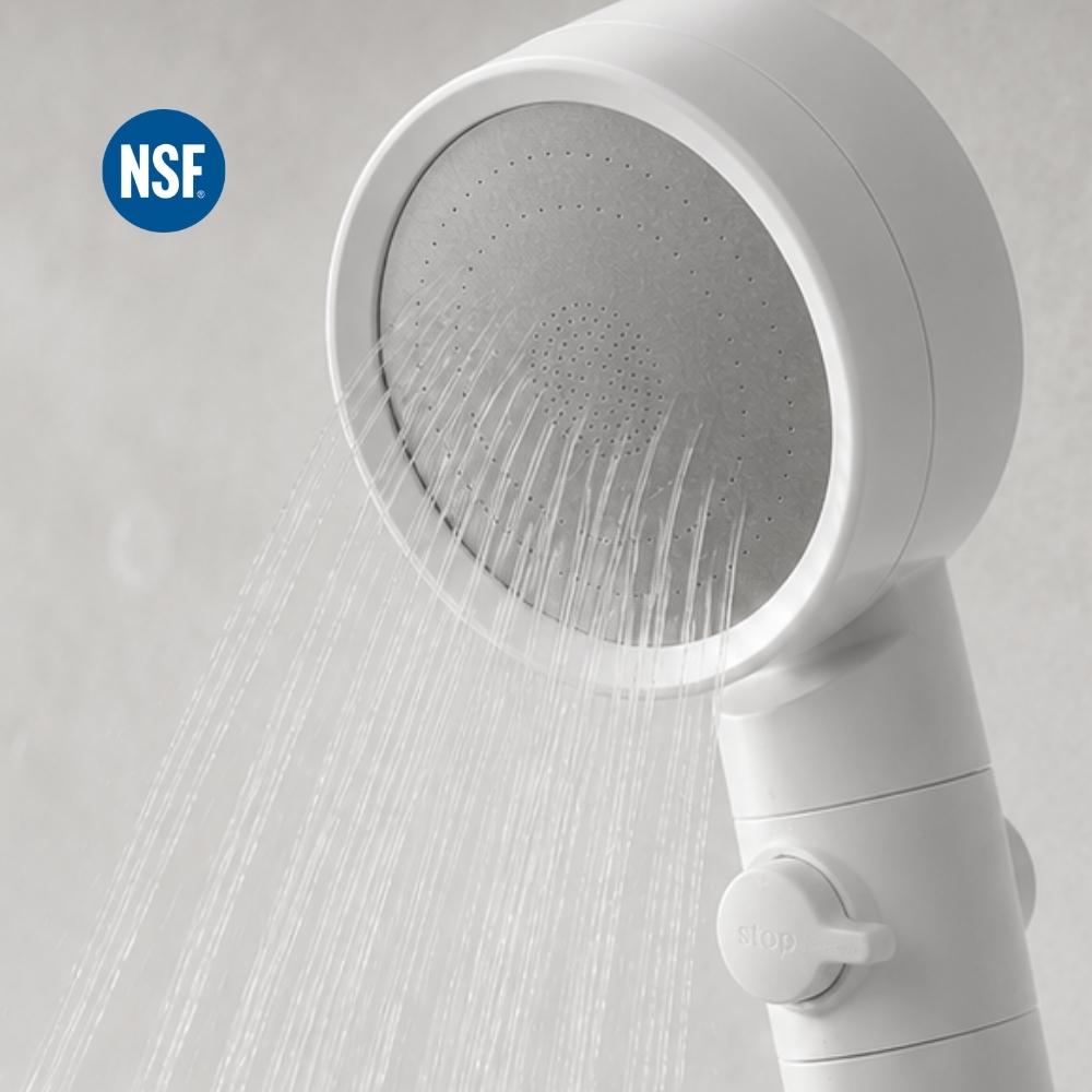 Filtered Shower Head