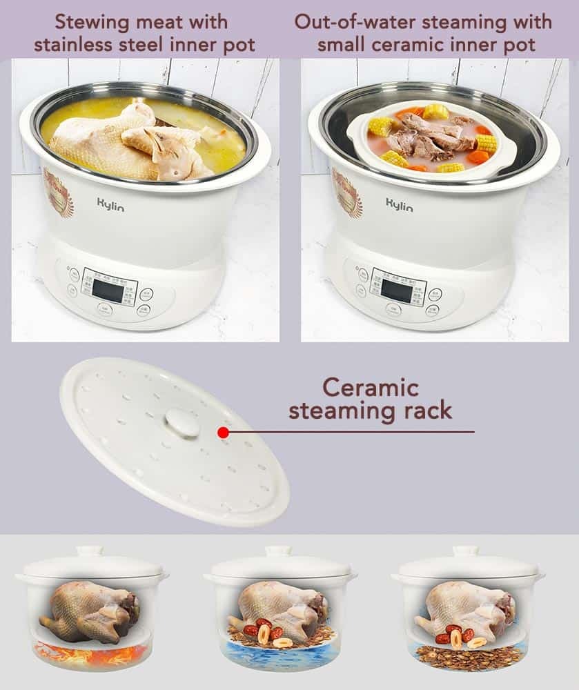 Electric Food Steamer