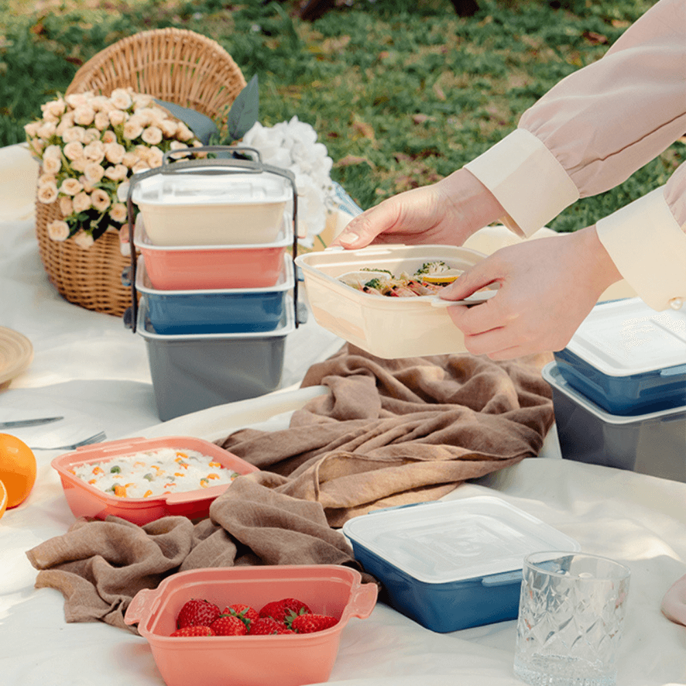 Robo Quick Picnic Lunch Box Set Food Containers With Traveling Handle