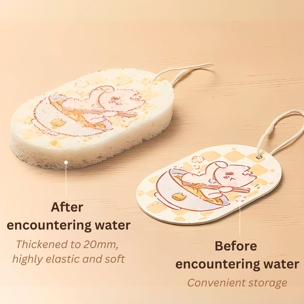 Cooker King Dishwashing Sponge