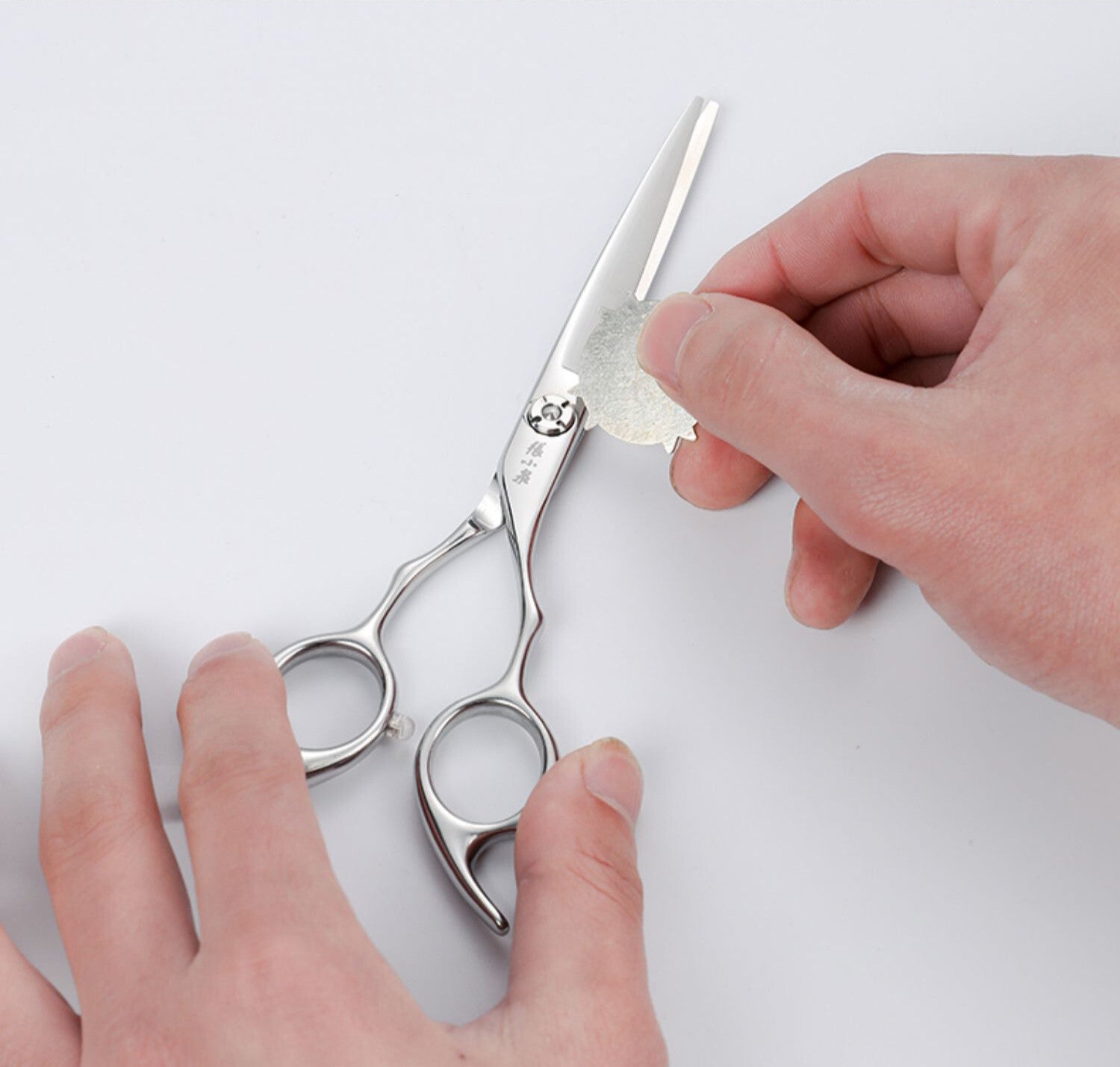 ZXQ Zhang Xiao Quan H32410100 Professional Handy Hairdressing Scissors 170mm
