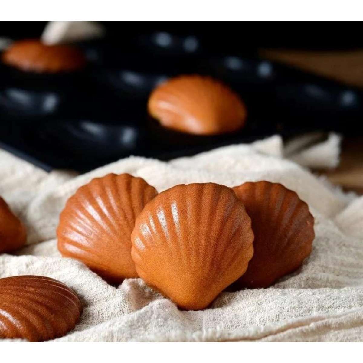 Tiger Crown Cockshell Cake Baking Pan 9P Black