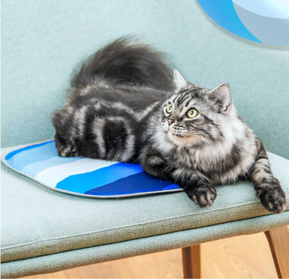 Petkit PURA X Pet Chair Laptop Summer Cooling Mat