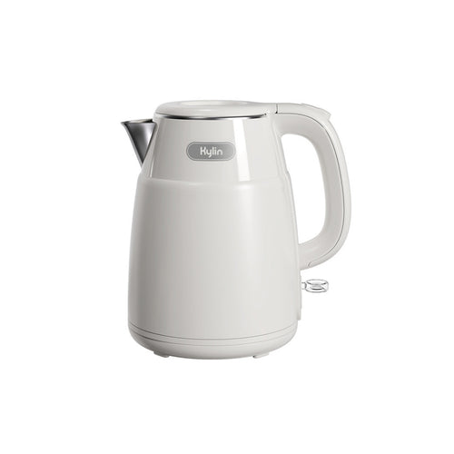 Stainless steel kettle